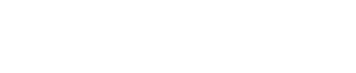 light logo